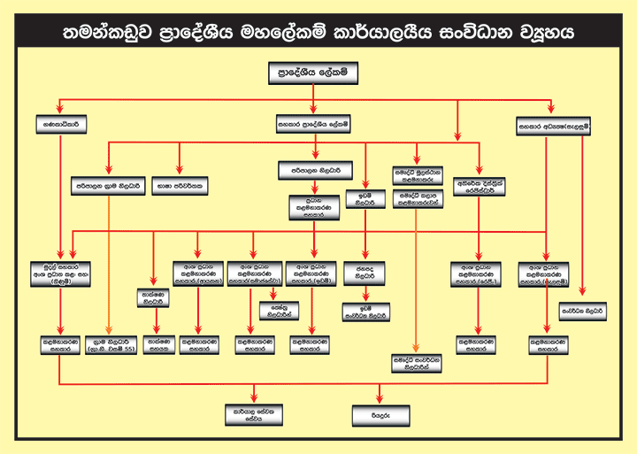 administrative-structure-new